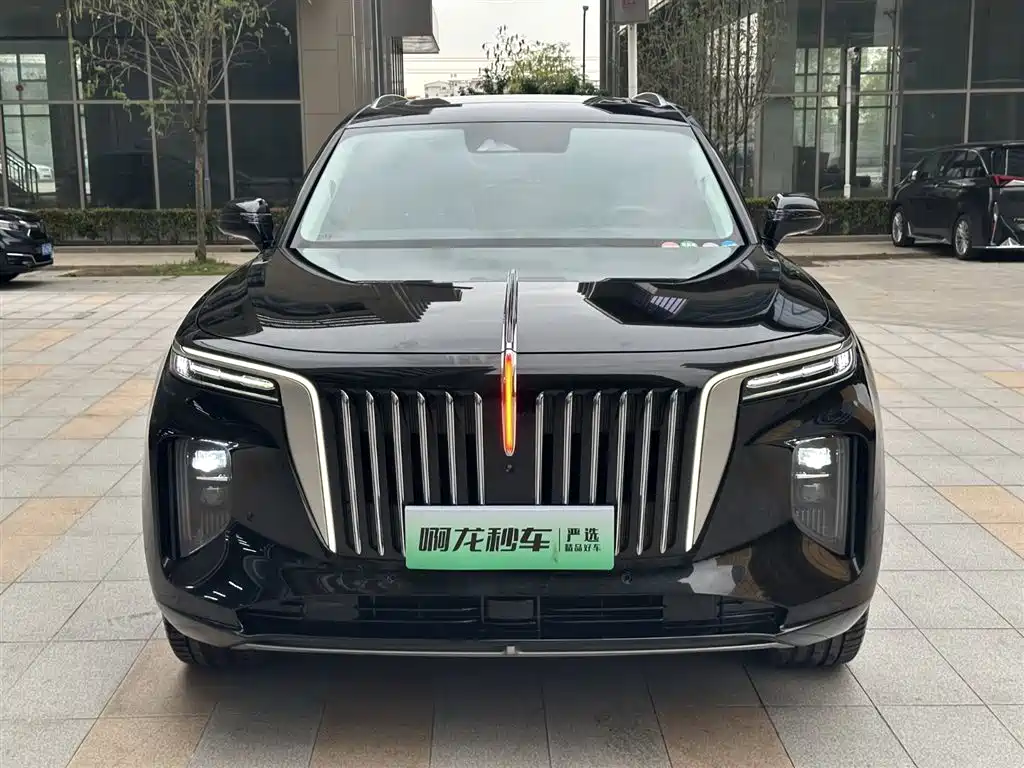 Hongqi HONGQI E HS9