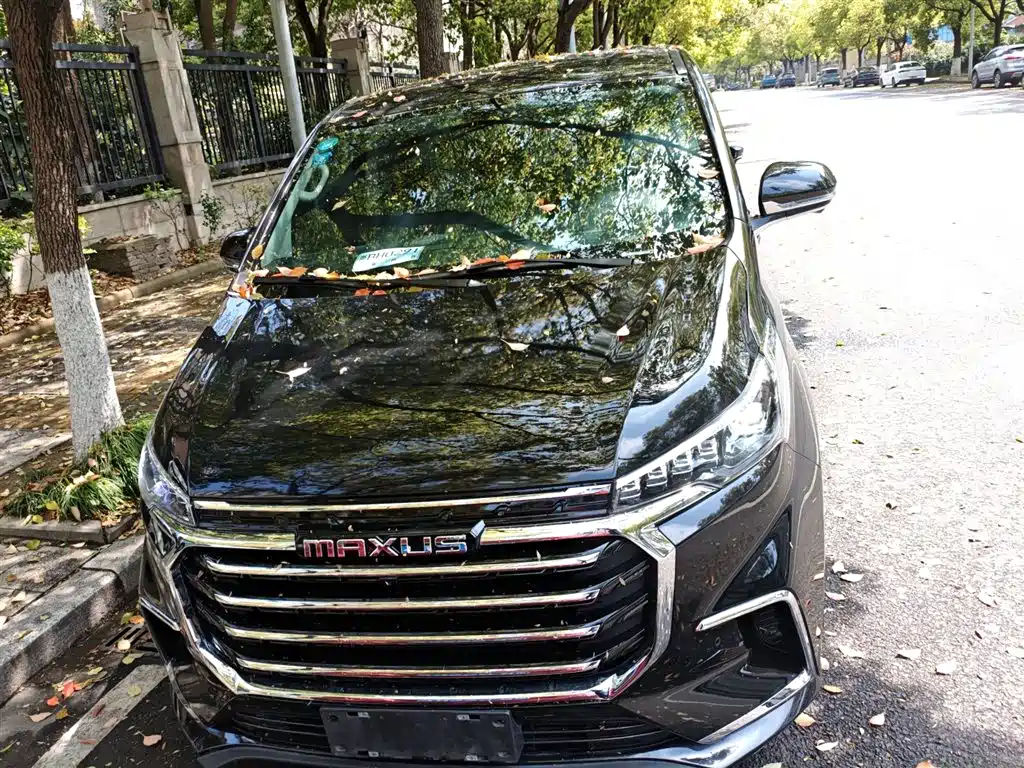 SAIC Maxus Maxus G20 2020 2.0T Gasoline Automatic Luxury фото 3