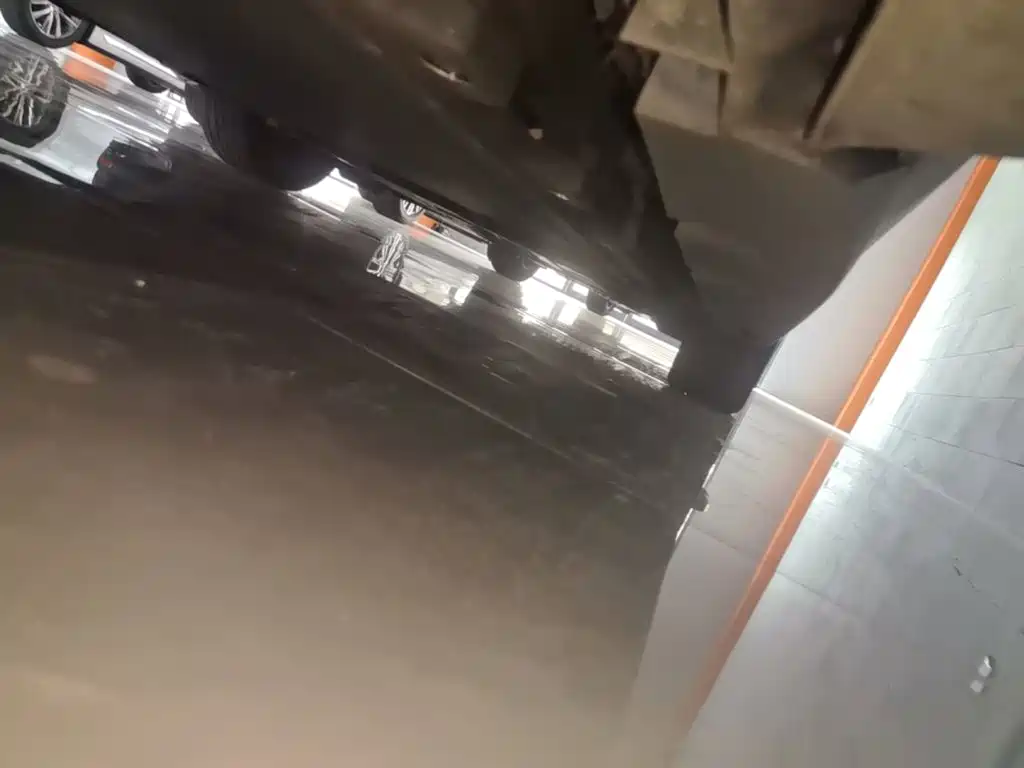 BYD Dolphin 2021 2021 401km Knight Edition
