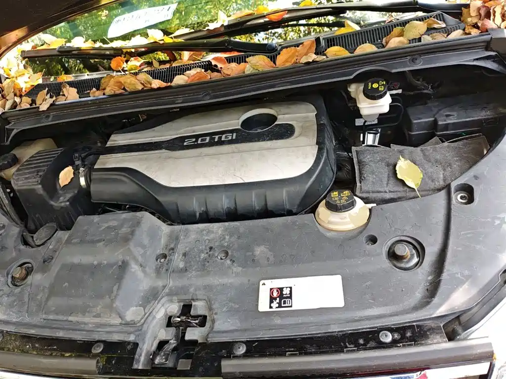 SAIC Maxus Maxus G20 2020 2.0T Gasoline Automatic Luxury фото 16