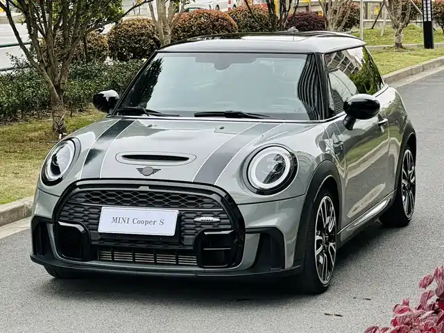 MINI 