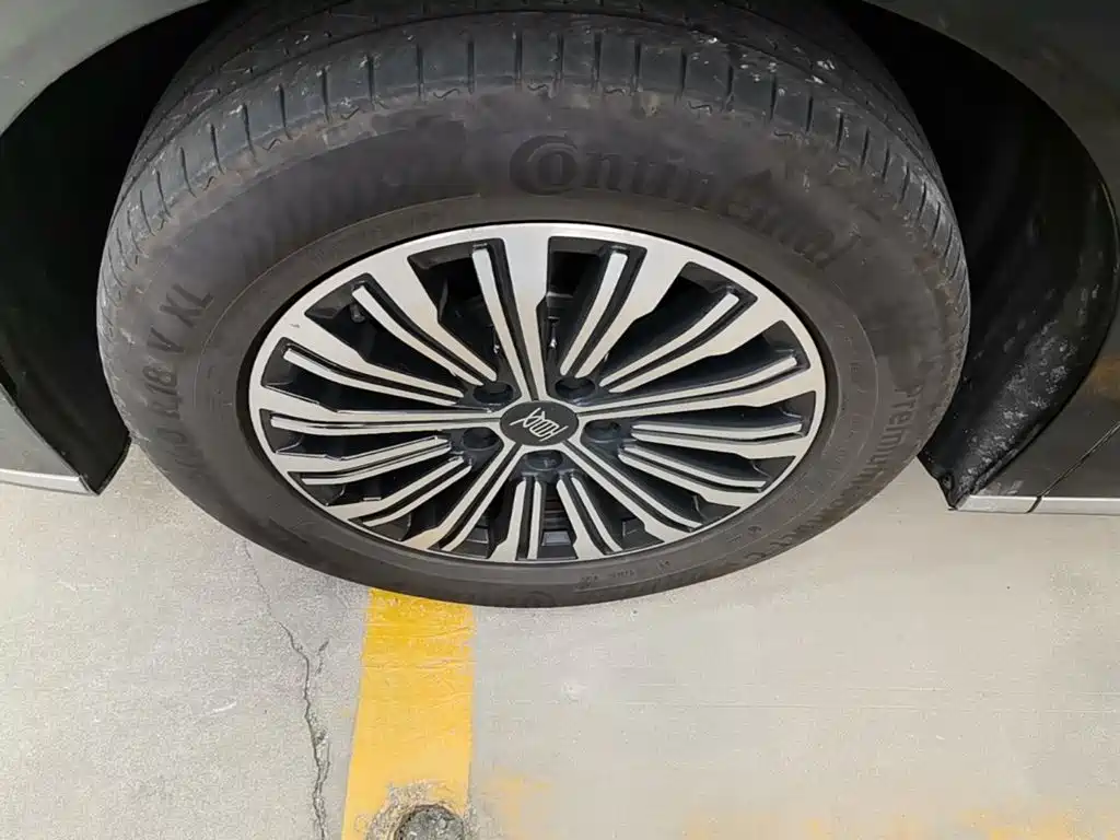 BYD Xia 2025 2025 DM-i 1.5T 180km Surpass Edition