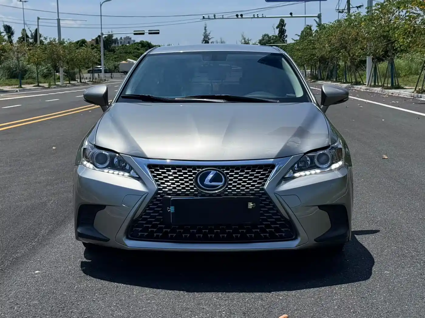 Lexus CT 2019 2017 CT200h Elite Edition Monochrome China V