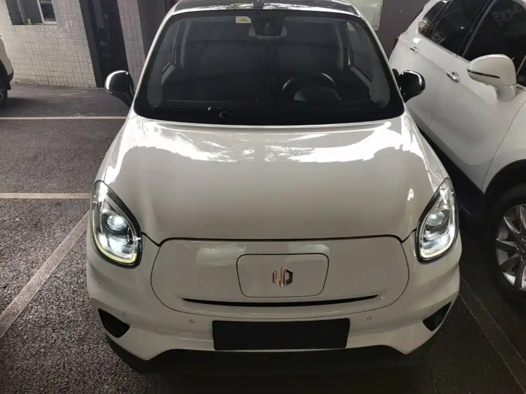 Leapmotor T03 2020 2020 400 Luxury Edition