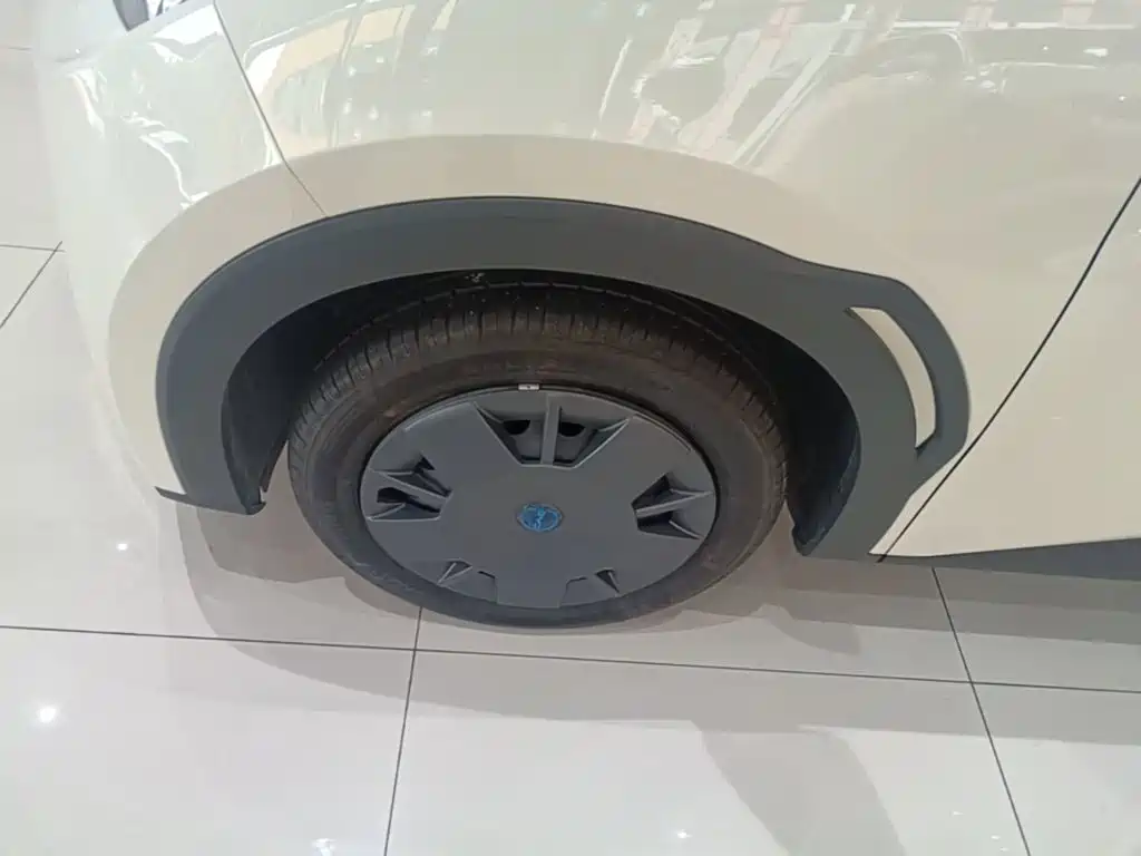 BYD Seagull 2026 2025 Smart Drive Edition 305km Vitality Version