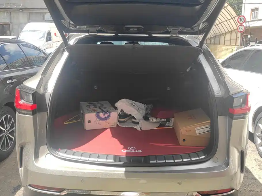 Lexus NX 2024 2024 350h FWD Joy Creation Edition