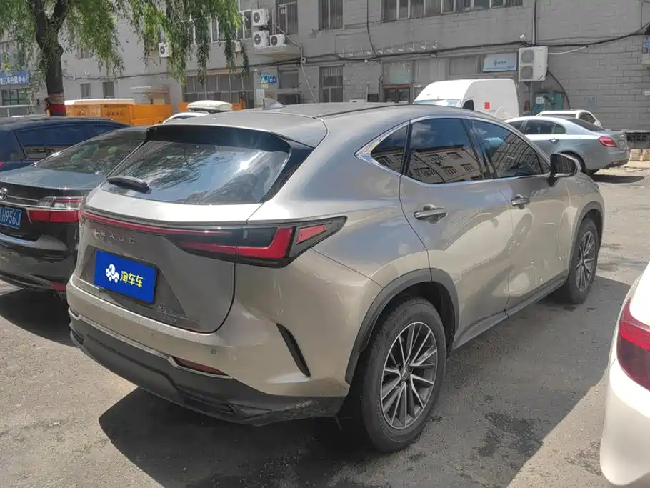 Lexus NX 2024 2024 350h FWD Joy Creation Edition