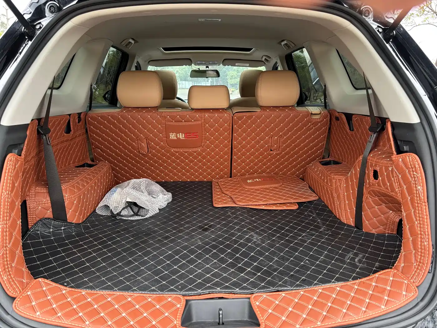 Landian E5 2024 2024 Glory Edition 100KM Comfort Type 7-Seater