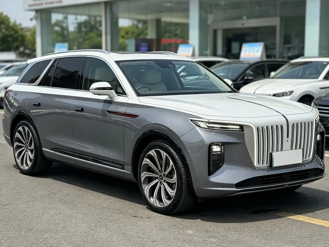 Hongqi E-HS9 2022 2021 510km Flagship Edition 4-seater
