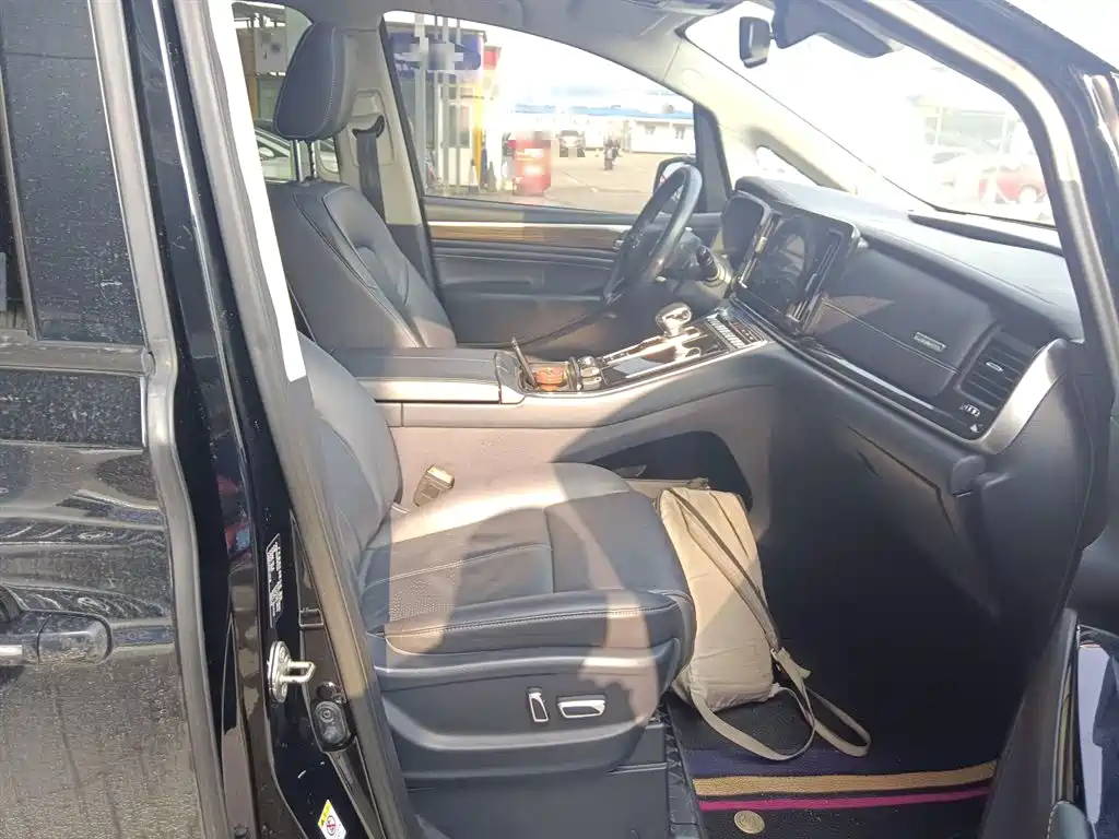 GAC Trumpchi Trumpchi M8 2021 Leading Show Series 390T Ultimate Edition фото 20