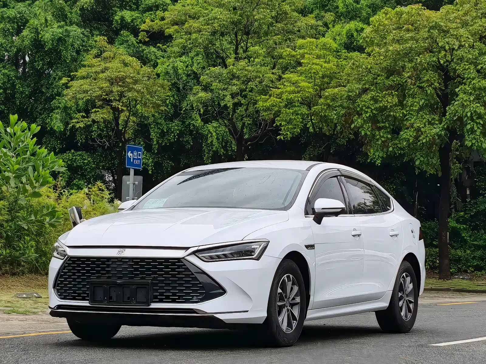 Фото 1 - BYD Qin PLUS