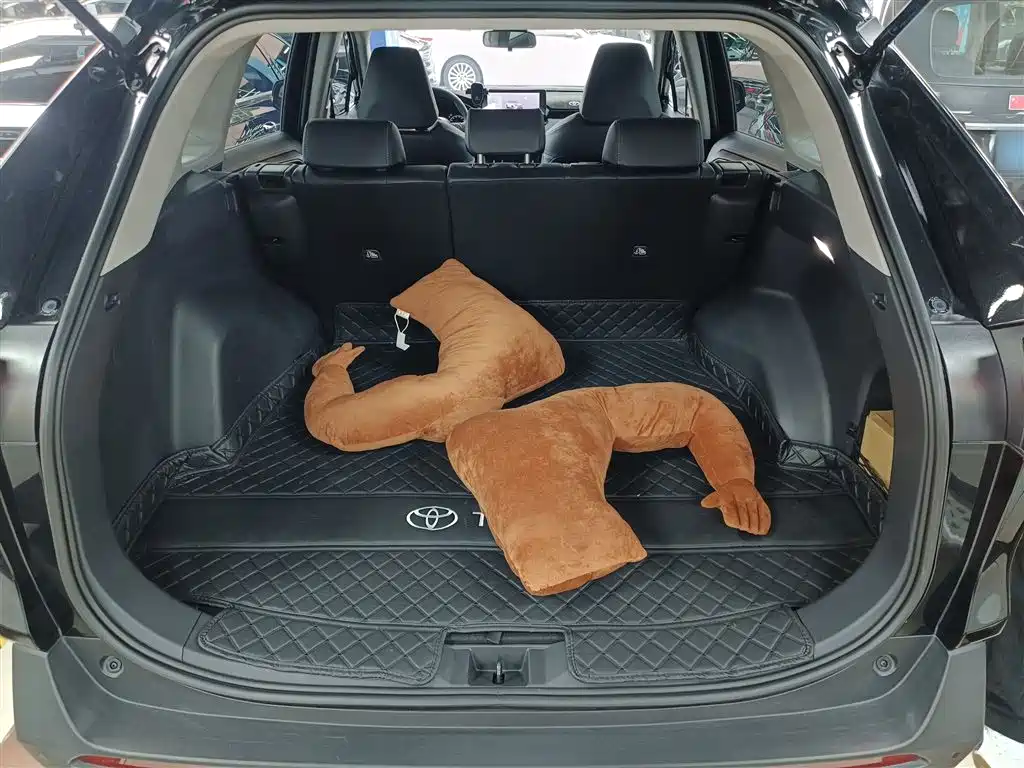 Toyota RAV4 Rongfang 2023 2.0L CVT FWD Style Plus Edition фото 19