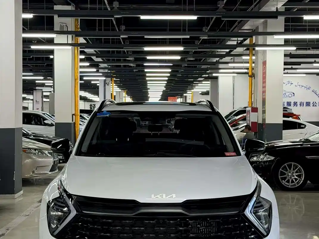 KIA LION PLATINUM EXPANDS THE WORLD