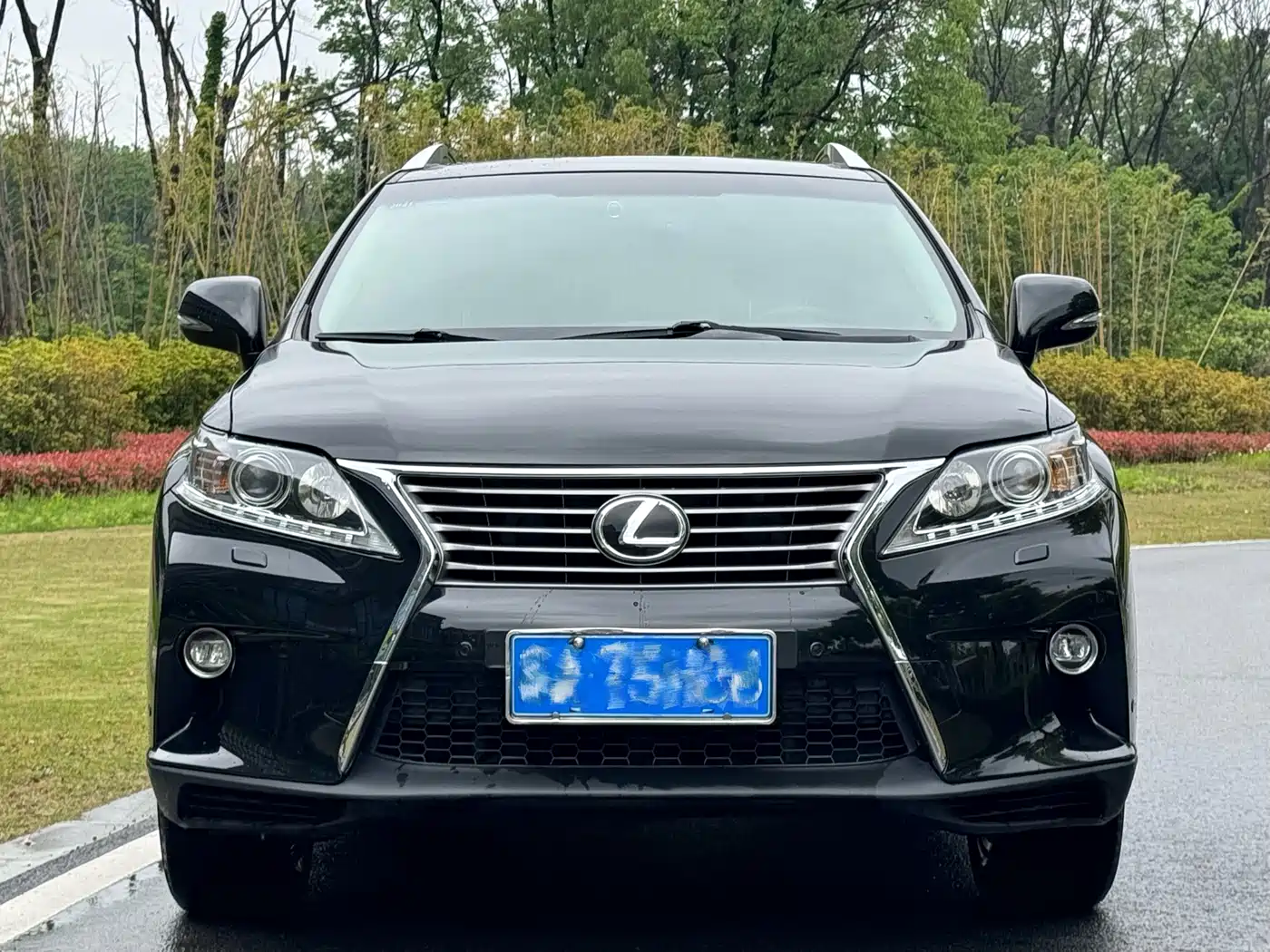 Lexus RX Classic 2013 270 Elegance фото 2