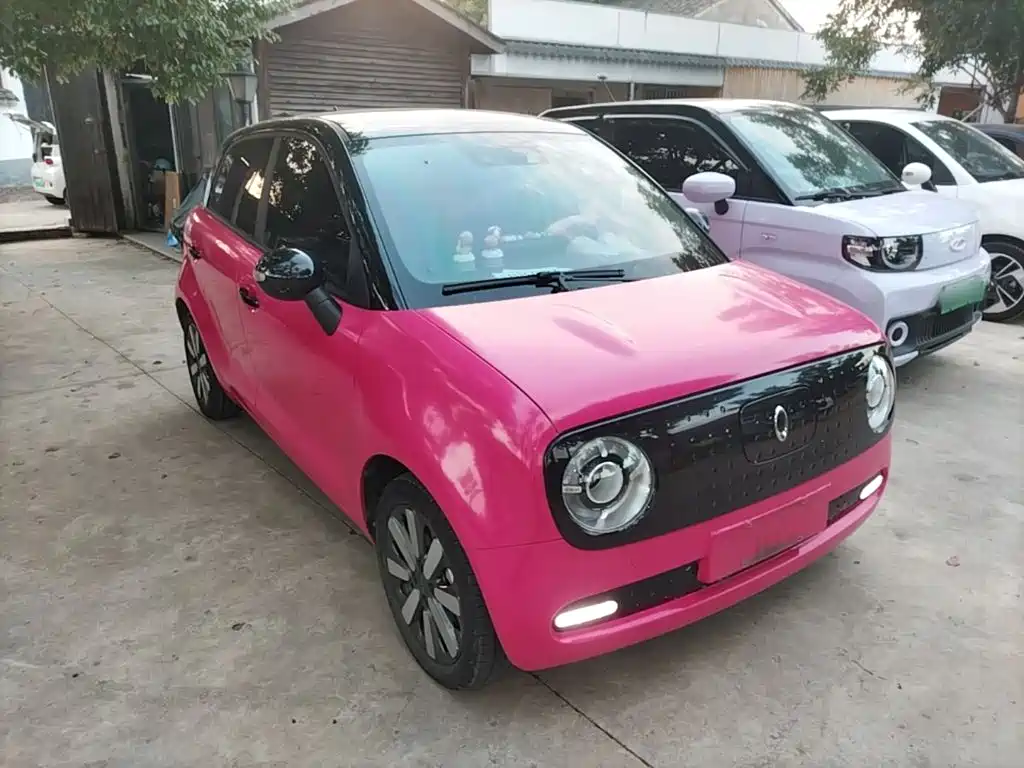 Ora Black Cat 2021 2021 351km Luxury Model