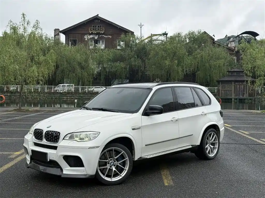 BMW X5 (Import) 2010 X5 M