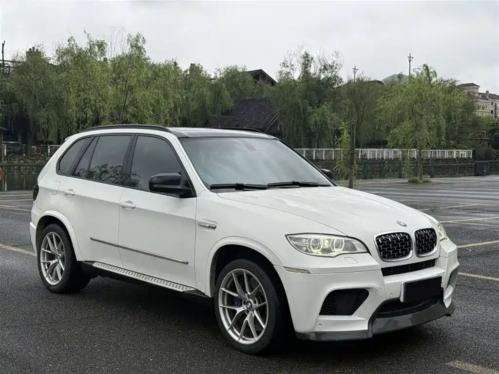 BMW X5 (Import) 2010 X5 M фото 2