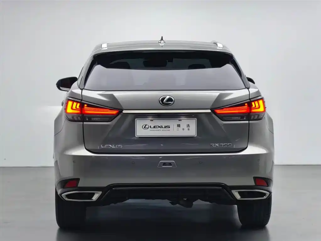 Lexus RX 2020 300 AWD F SPORT China V фото 20
