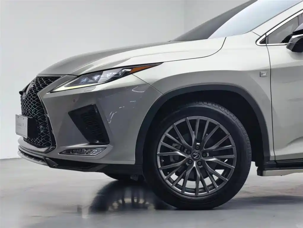 Lexus RX 2020 300 AWD F SPORT China V фото 18