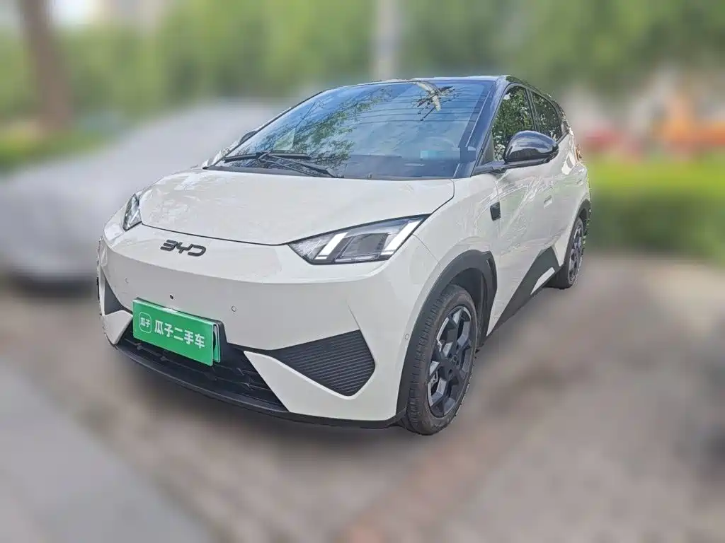 BYD Seagull 2025