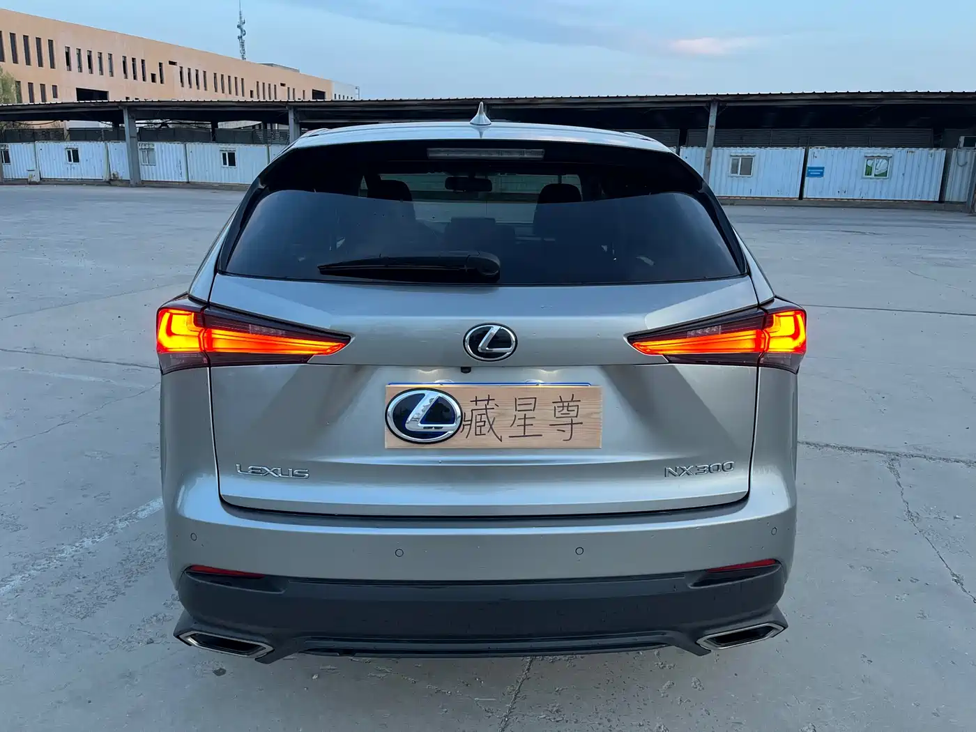 Lexus NX 2018 Model 300 FWD Fengxing Edition фото 17