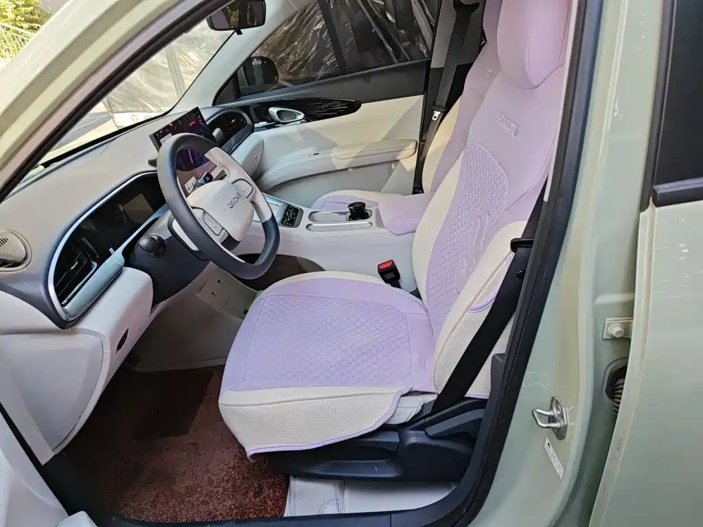 Geely Galaxy Starry Wish 2025 2025 310km Dream Edition