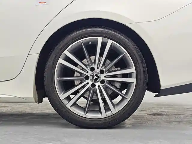 Mercedes-Benz CLS 2021 CLS 300 Sport фото 18