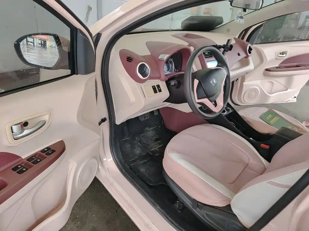 Changan Benben E-Star 2022 2022 Appreciation Edition Colorful LFP
