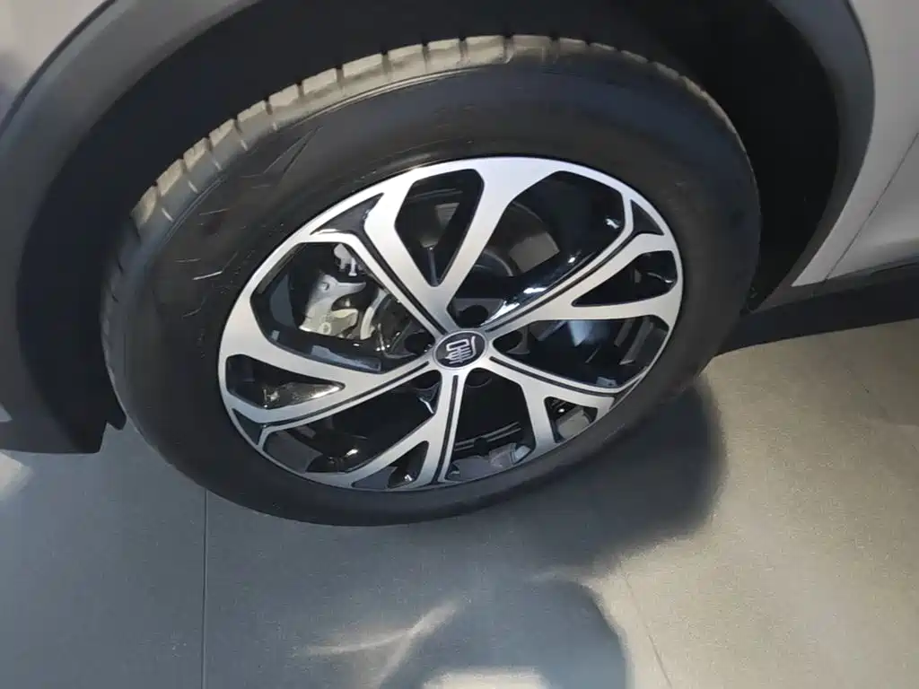 BYD Tang New Energy 2025 2025 Smart Driving Edition DM-i 115KM Flagship