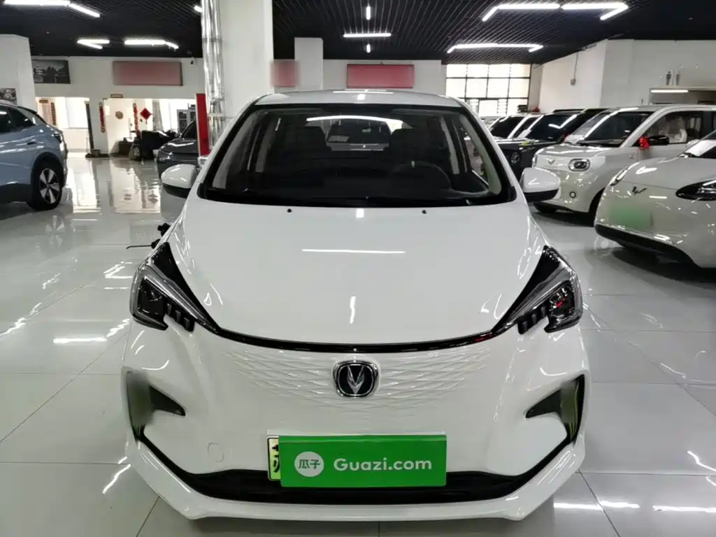 Changan Benben E-Star 2020 2020 Heartbeat Edition (NMC Battery)
