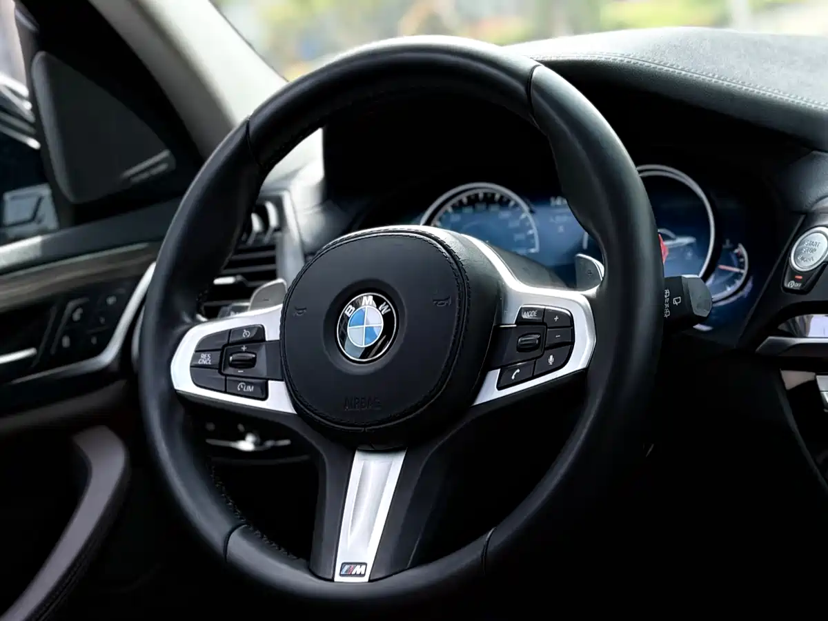 BMW X3 2019 xDrive30i Leading M Sport Package фото 10