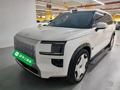 Zeekr 9X