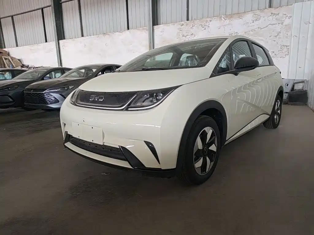 2026 BYD Dolphin