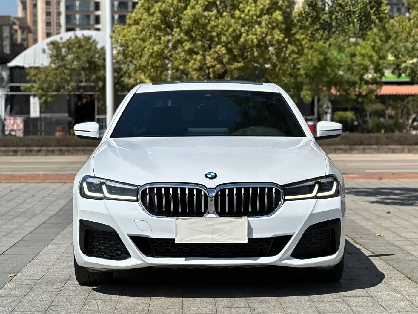 BMW 5 Series 2021 530Li Premium M Sport Package фото 3