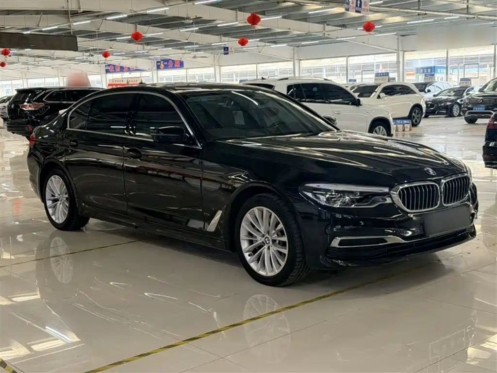 BMW 5 Series 2019 Facelift 530Li Premium Luxury Package фото 9