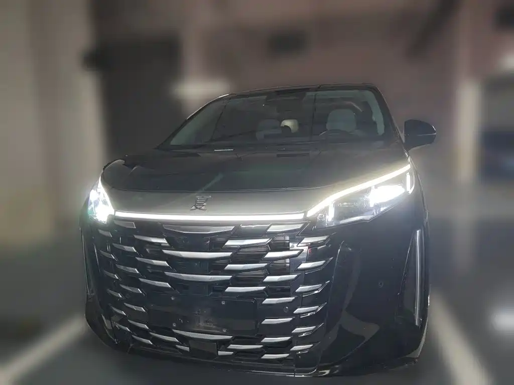 BYD Xia 2025 2025 DM-i 1.5T 180km Excellence
