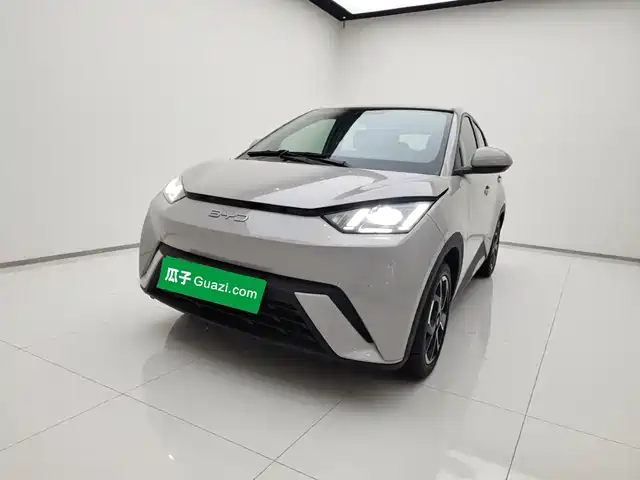 BYD Seagull Слава, 305km, Свобода
