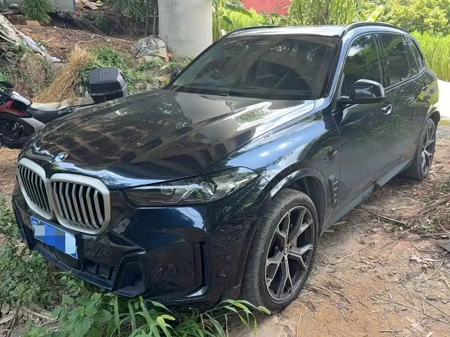 BMW X5 2023 xDrive 30Li Premium M Sport Black Night Package