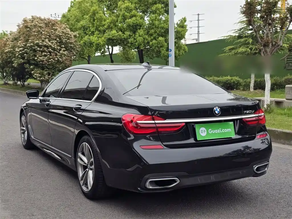 BMW 7 Series 2018 730Li Leading Type M Sport Package фото 25