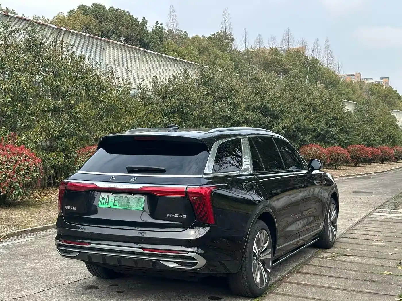 Hongqi HONGQI E HS9
