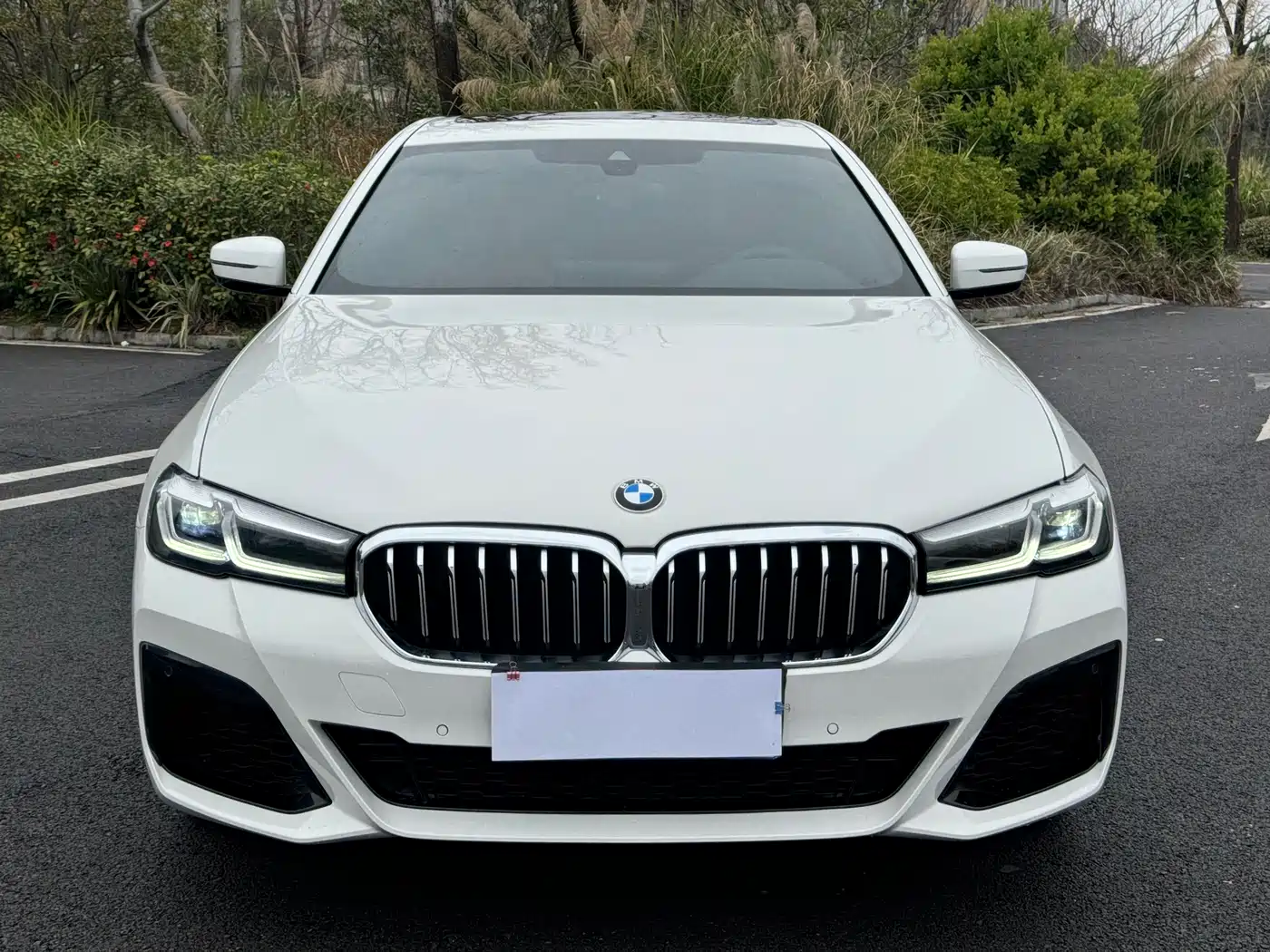 BMW 5 SERIES