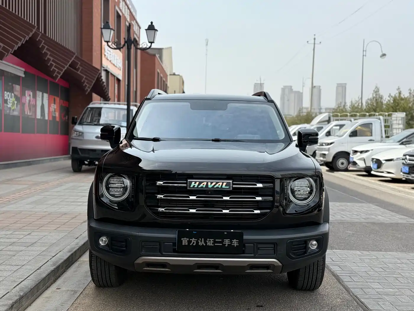 HAVAL BIG DOG