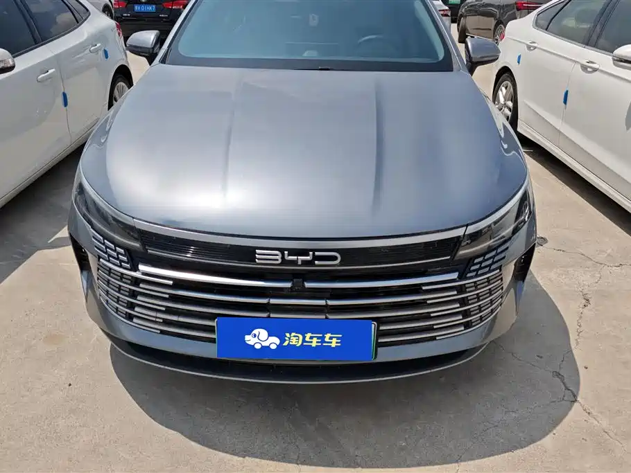 BYD Destroyer 05 2024 Glory Edition DM-i 55KM Luxury фото 2