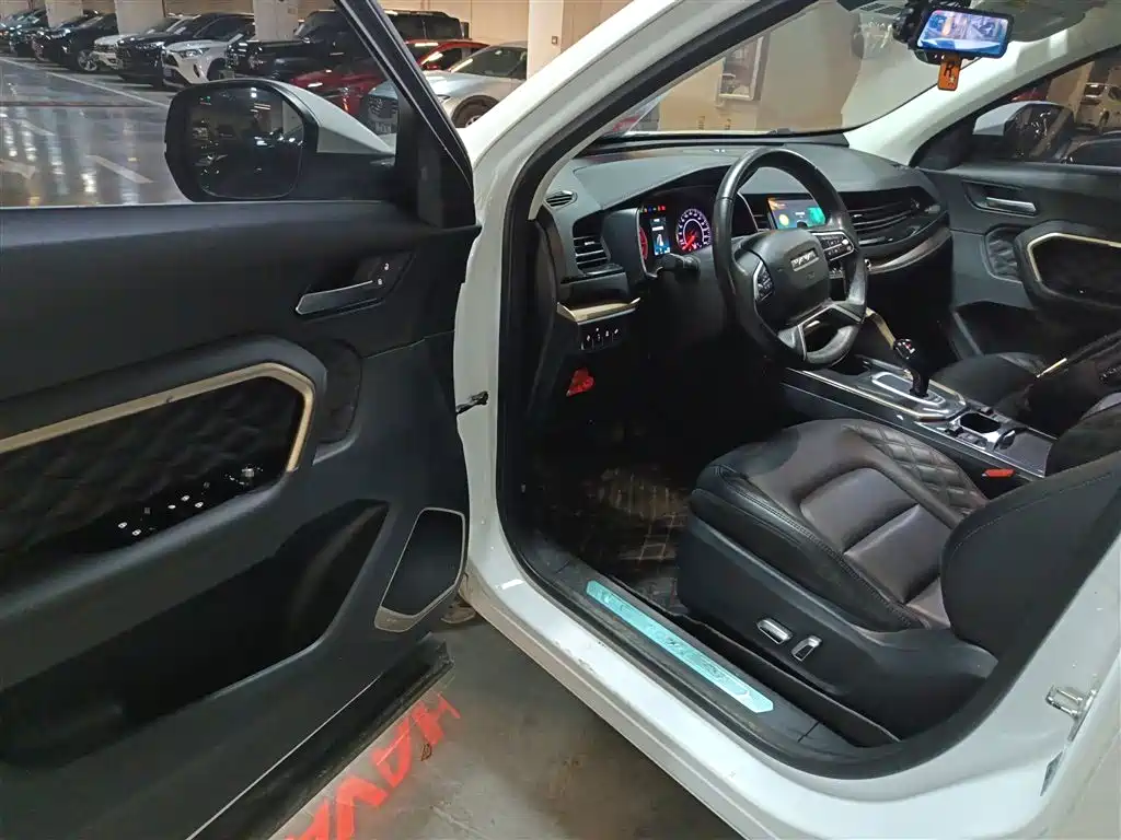 Haval H6 2020 2.0GDIT Automatic Platinum Champion Edition фото 12