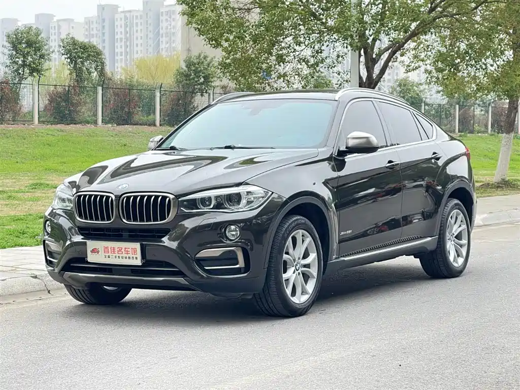 BMW X6 2017 xDrive35i Leading