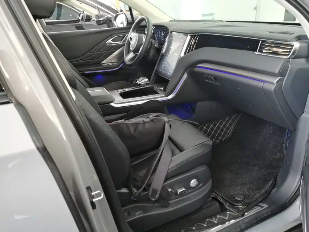 صورة 25 - Hongqi HS7 PHEV