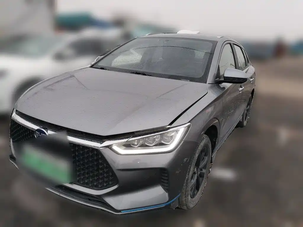 BYD e2 2022 2021 Luxury Edition