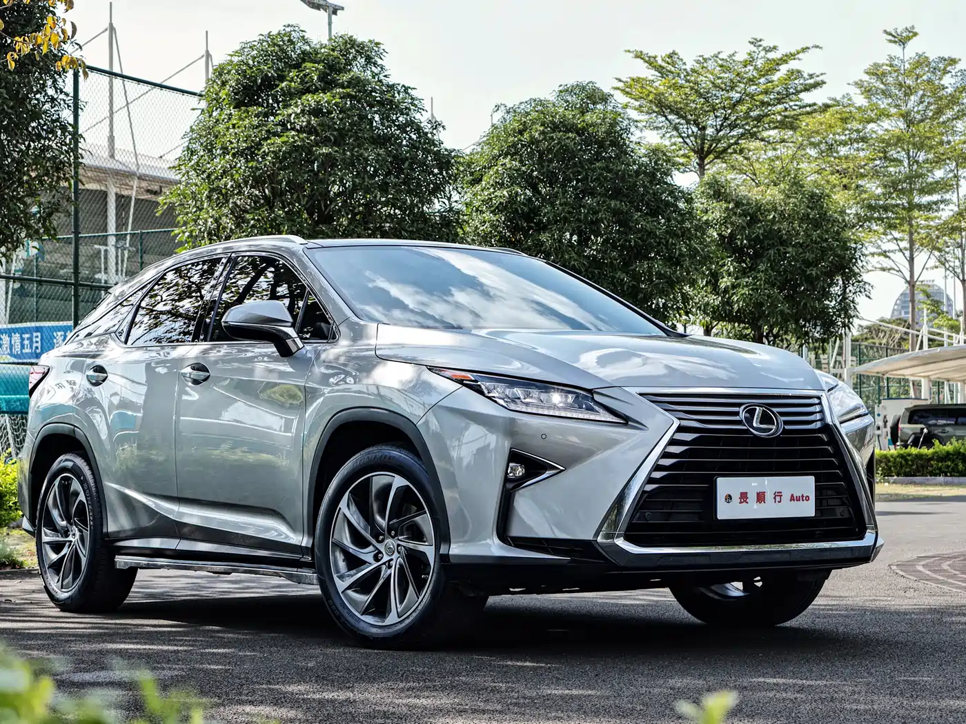 Lexus RX 2016 300 4WD Elegance Edition (China V) фото 3