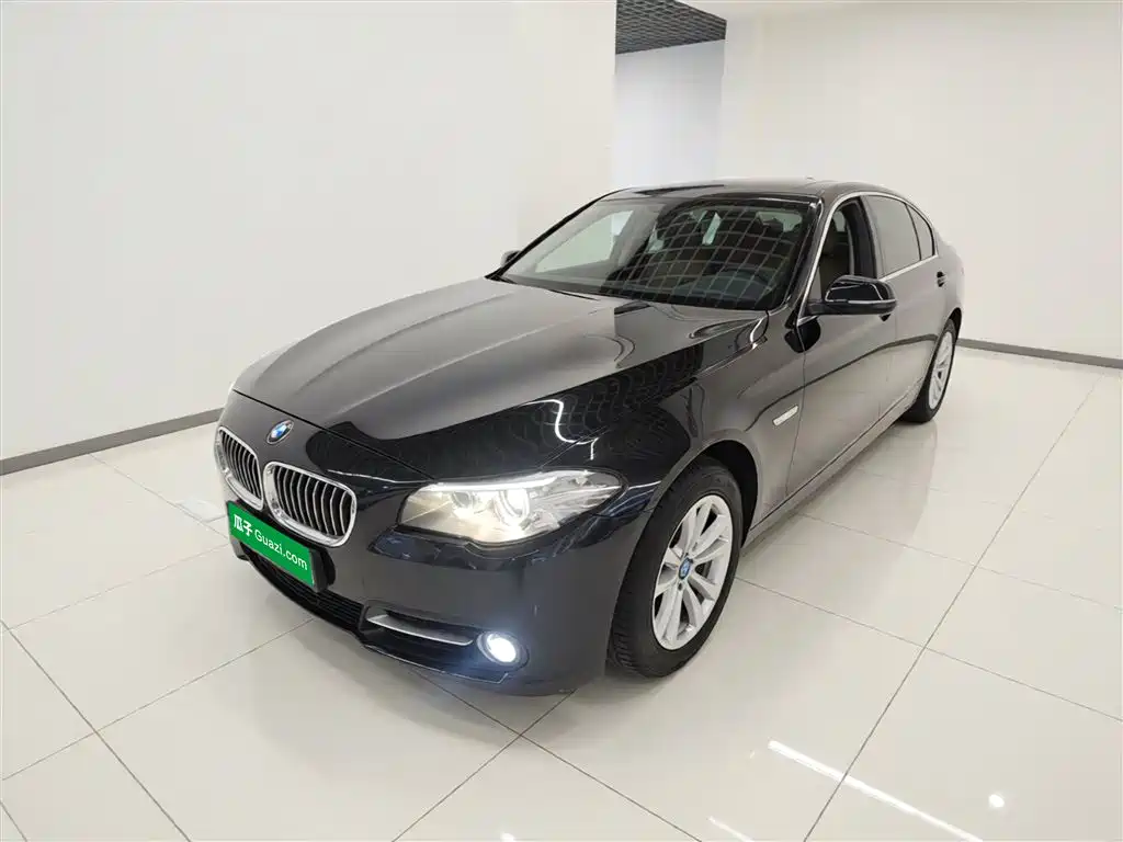 BMW 5 Series 2014 520Li Elegance фото 2