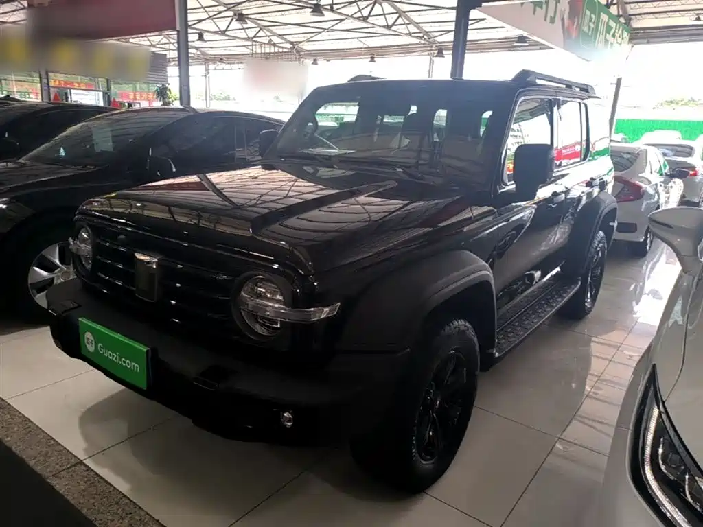 Tank 300 2021 Off-road Version 2.0T Conqueror